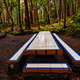 Benches and picnic tables Recreation area in the Mata da Serreta Forest Reserve in Terceira Island - PhotoDune Item for Sale