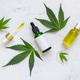 Cosmetic dropper bottles with blank label and pipette near green cannabis leaves. Mockup - PhotoDune Item for Sale
