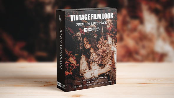 Cinematic Retro Look Vintage LUTs for Color Grading Videos