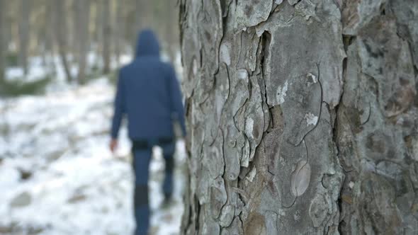 Man With Hood Walking In Forest
