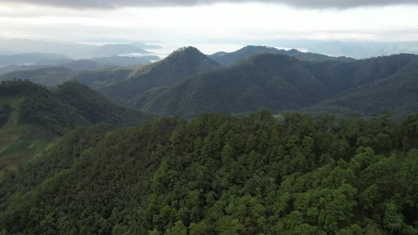 Aerial landscape view of greenery rainforest mountains by drone