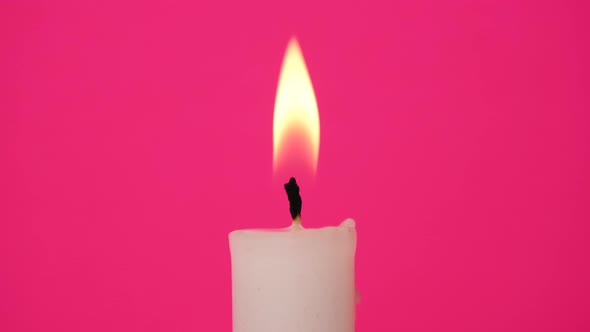 A Festive White Candle on an Bright Pink Background