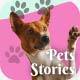 Pets Instagram Stories - VideoHive Item for Sale