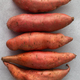 Raw sweet potatoes on a grey background. Orange kumara, yam. Healthy eating. - PhotoDune Item for Sale