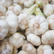 close up pf garlic on white background, - PhotoDune Item for Sale