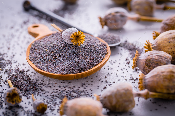 Organic poppy seeds in small bowl with poppy heads - Stock Photo - Images