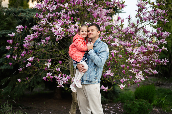 Father with daughter in hands enjoying nice spring day near magnolia blooming tree. - Stock Photo - Images