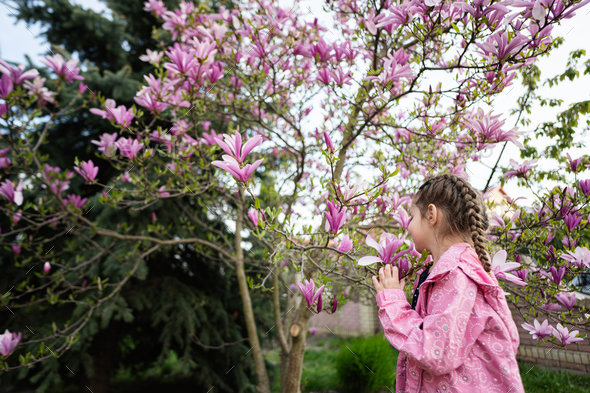Preschooler girl in pink jacket enjoying nice spring day near magnolia blooming tree. - Stock Photo - Images