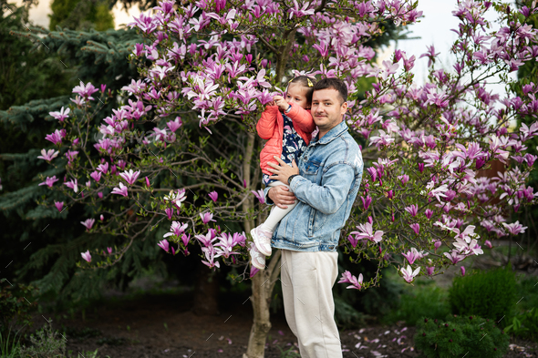  Father with daughter in hands enjoying nice spring day near magnolia blooming tree. - Stock Photo - Images