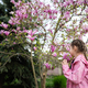 Preschooler girl in pink jacket enjoying nice spring day near magnolia blooming tree. - PhotoDune Item for Sale