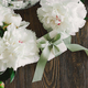Bouquet of beautiful white peonies with gift boxes on wood background - PhotoDune Item for Sale
