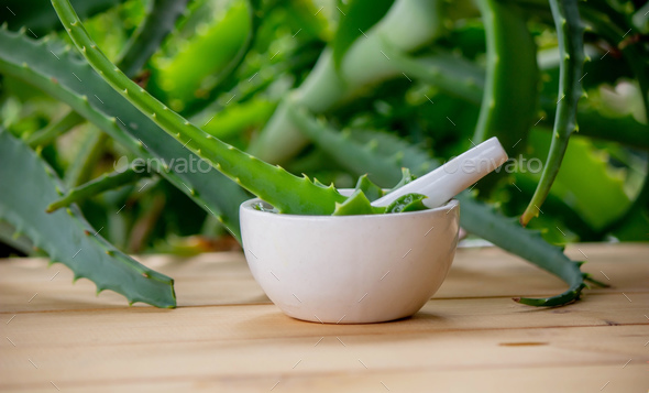 Natural moisturizer for skin care with fresh aloe vera. - Stock Photo - Images