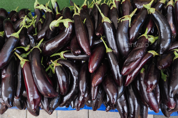 Bright purple eggplant in the central market  - Stock Photo - Images