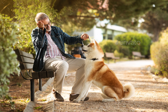 Smiling caucasian senior man with beard in glasses gives snack to dog, play game, training - Stock Photo - Images