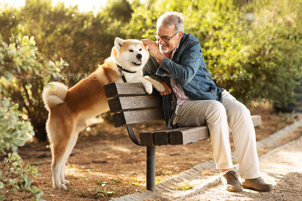 Happy caucasian senior man with beard and glasses strokes dog, training in park, enjoy walk with pet - Stock Photo - Images