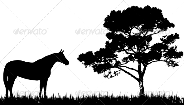 Silhouette of Horse and Tree - Animals Characters