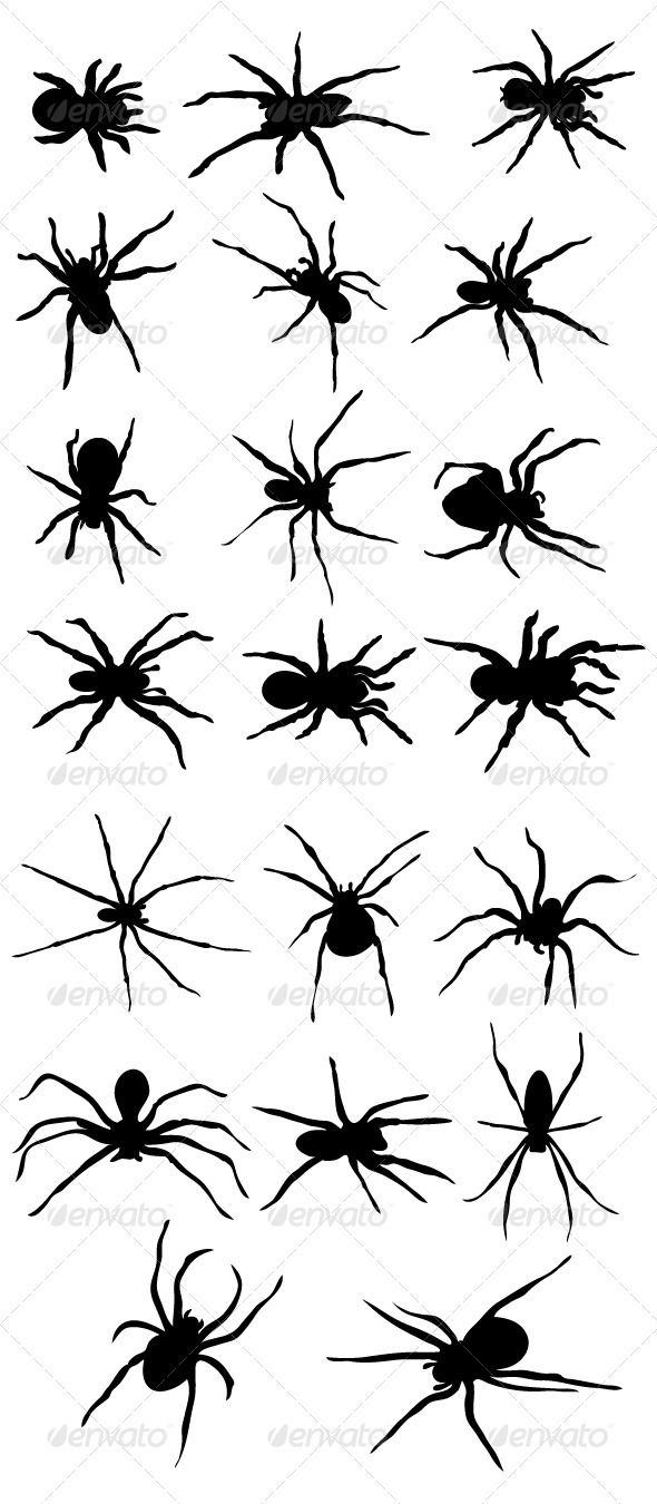 Spider Silhouttes - Animals Characters