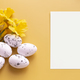 Easter eggs daffodils, yellow background - PhotoDune Item for Sale