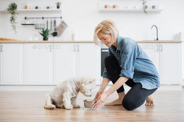 Female owner putting dog bowl for furry pet at home