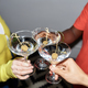 Young people holding glasses and toasting - PhotoDune Item for Sale