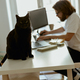 Black cat sitting on background of man working remotely on computer from home office - PhotoDune Item for Sale