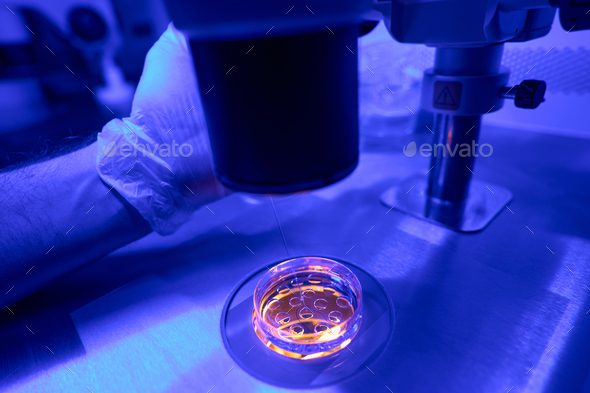 Laboratory researcher injecting fluid into petri dish with embryos