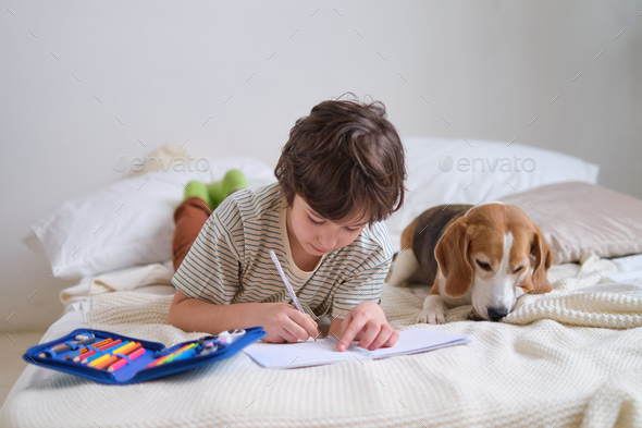 boy drawing with pencils in the company of his beagle, illustrating the balance between academic
