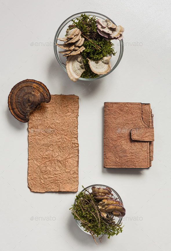 Vegan leather wallet made from mushroom mycelium, vegan bio leather samples top view, eco friendly
