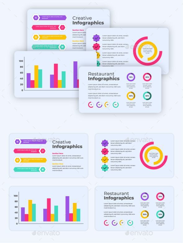 Premium Business Infographics