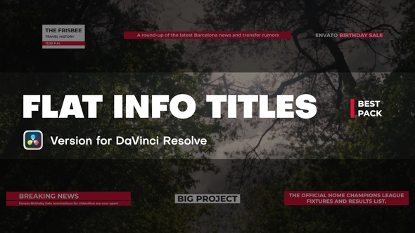 Flat Info Titles | DaVinci Resolve