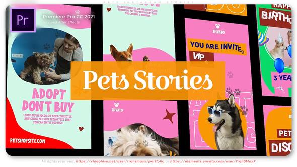 Pets Instagram Stories