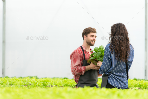 Both small business owners have organic vegetable gardens, They picking fresh veggies to deliver - Stock Photo - Images
