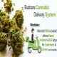 Budcars- Cannabis & Weed Delivery System