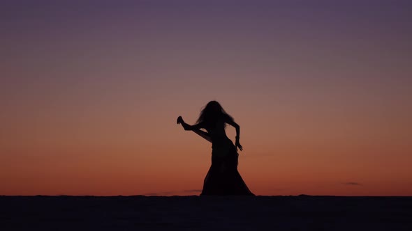 Dancer Holds a Veil in Her Hands, She Dances a Belly Dance on the Beach, Silhouette alt