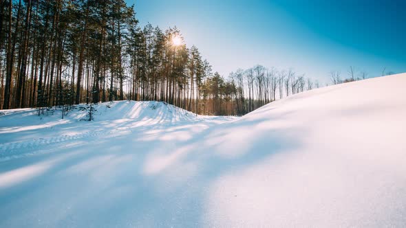 Time Lapse Timelapse Timelapse Of Sunlight And Moving Shadows On Forest Snow alt