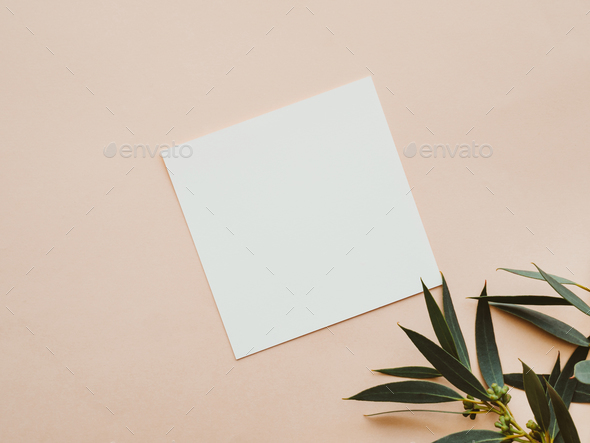 White blank paper square card mockup and green eucalyptus branch on beige background