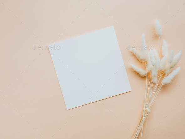 White blank paper square card mockup and dry floral branch on beige background