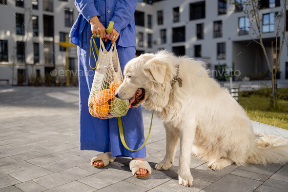 Woman carrying meshbag with fresh groceries while walking home with her dog