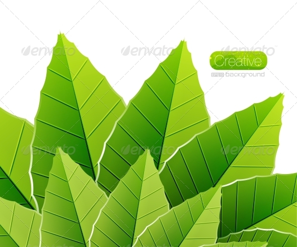 Green leaves nature background - Backgrounds Decorative