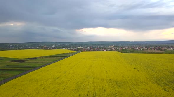 Autumn forest with bright orange and yellow leaves. Dense woods in sunny fall weather. alt
