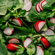 Greenery leaves and Salad Ingredients - Top View - PhotoDune Item for Sale