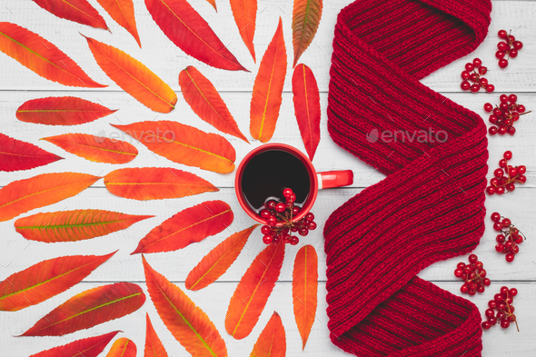 Warm knitted scarf and tea mug with red leaves on wooden board, autumn composition, october mood c