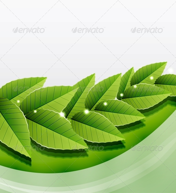 Green Leaves Nature Background - Flowers & Plants Nature