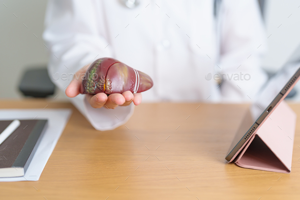 Doctor with human Liver model and tablet. Liver cancer