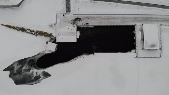Birds Swim in Melted Water in Pond or Lake alt