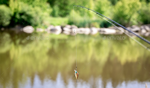 Perch on fishing-rod on a blurred lake background. Stock Photo by