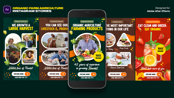 Organic Food Instagram Stories Video Displays template preview