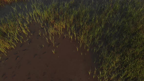 Tilt Pan up reveal shot from waterlogged rice paddy fields to large factory chimneys alt