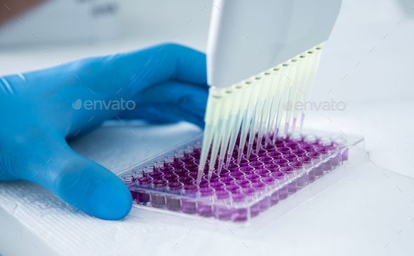 Laboratory electronic multichannel pipettes with microplate ...