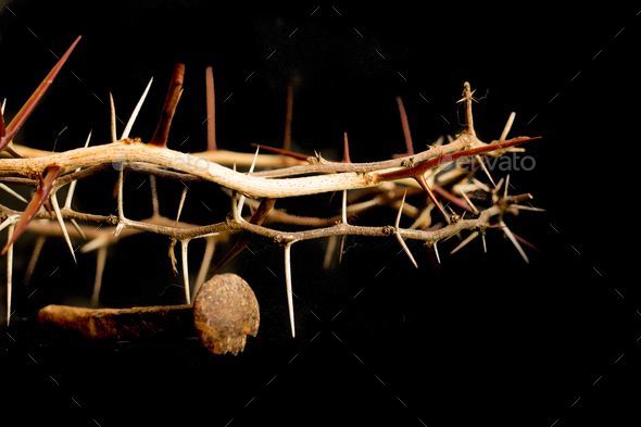 Closeup of a crown of thorns and nails in a dark setting, symbols of the Christian crucifixion.